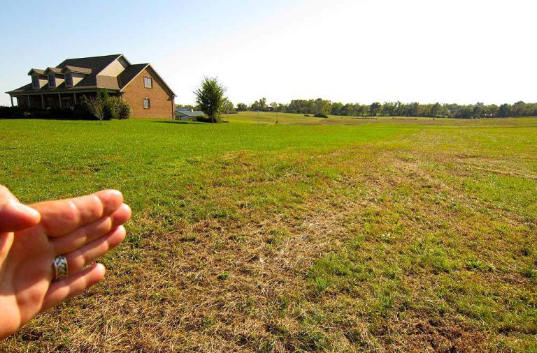Как взять участок земли в аренду у государства под строительство дома
